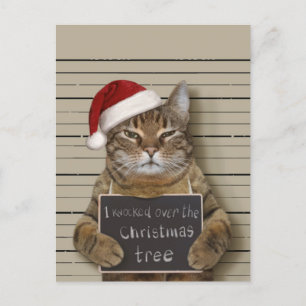 Mugshot Cat Christmas Postkarte