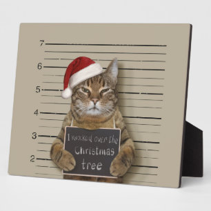 Mugshot Katze Weihnachten Fotoplatte