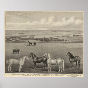 Mühlbrae-Ranch, Kansas Poster