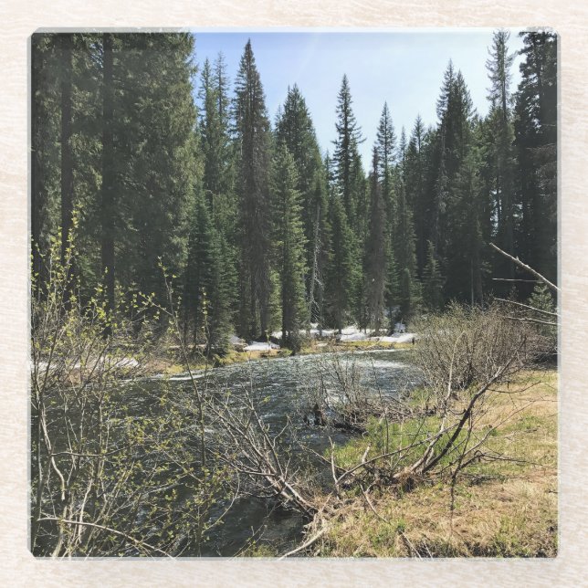 Muir Creek, Oregon Glasuntersetzer (Vorderseite)