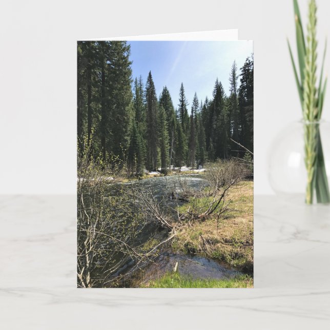Muir Creek, Oregon Karte (Vorderseite)