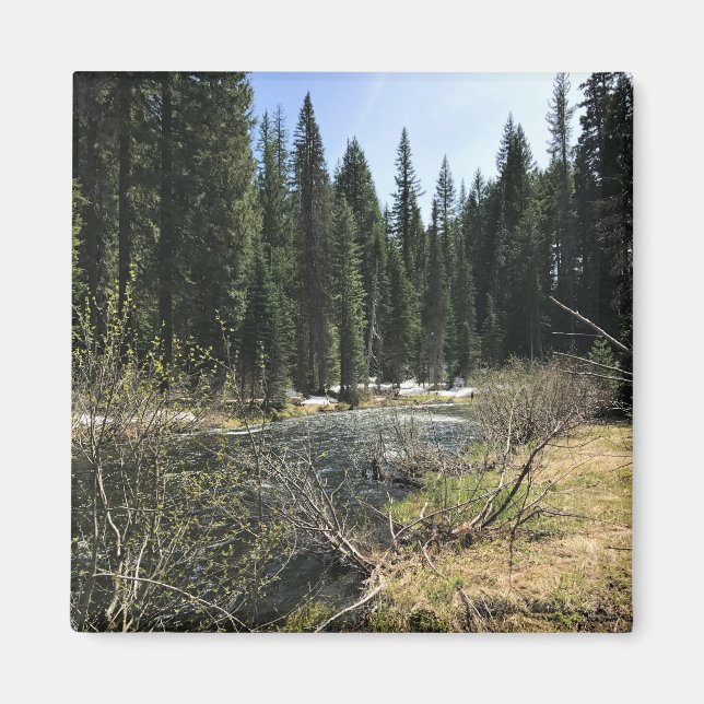 Muir Creek, Oregon Magnet (Vorne)