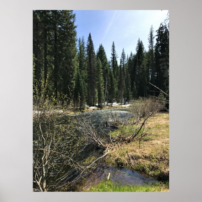 Muir Creek, Oregon Poster (Vorne)