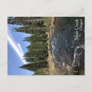 Muir Creek Postkarte