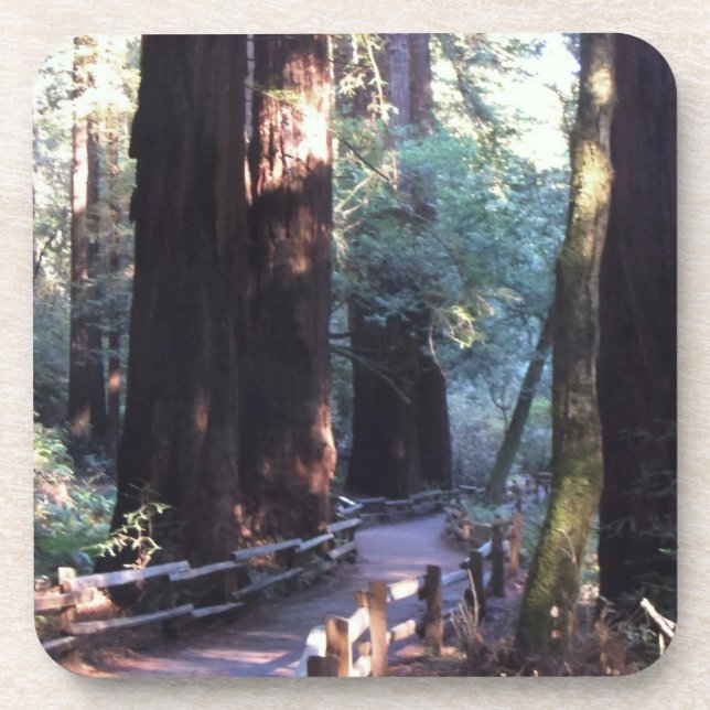 Muir Holz Untersetzer (Vorderseite)