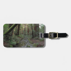 Muir Woods Bach Waldlandschaft Gepäckanhänger