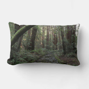 Muir Woods Bach Waldlandschaft Lendenkissen