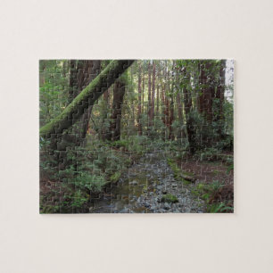 Muir Woods Bach Waldlandschaft Puzzle