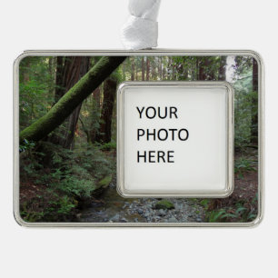 Muir Woods Bach Waldlandschaft Rahmen-Ornament Silber