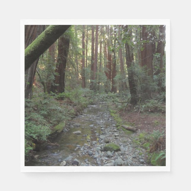 Muir Woods Bach Waldlandschaft Serviette (Vorderseite)