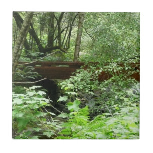 Muir Woods Bridge I Fliese