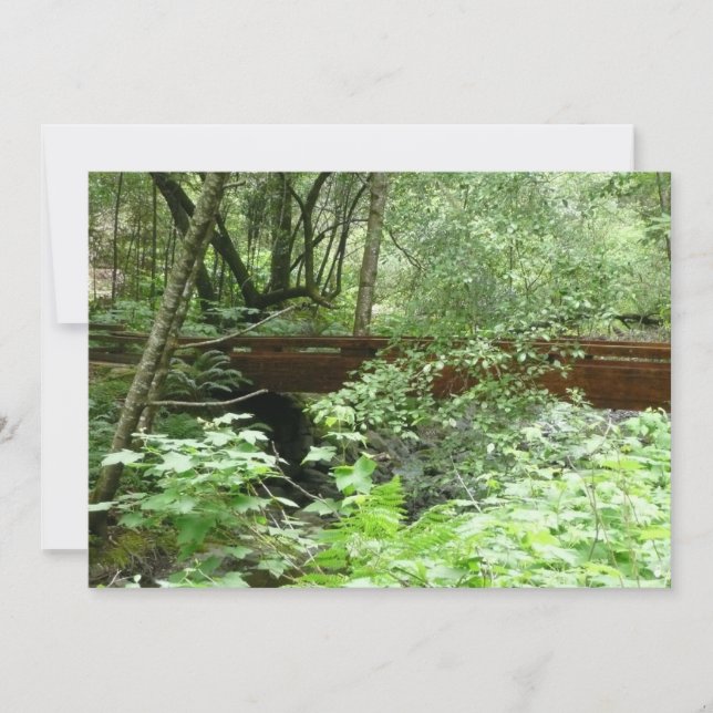 Muir Woods Bridge I Karte (Vorderseite)