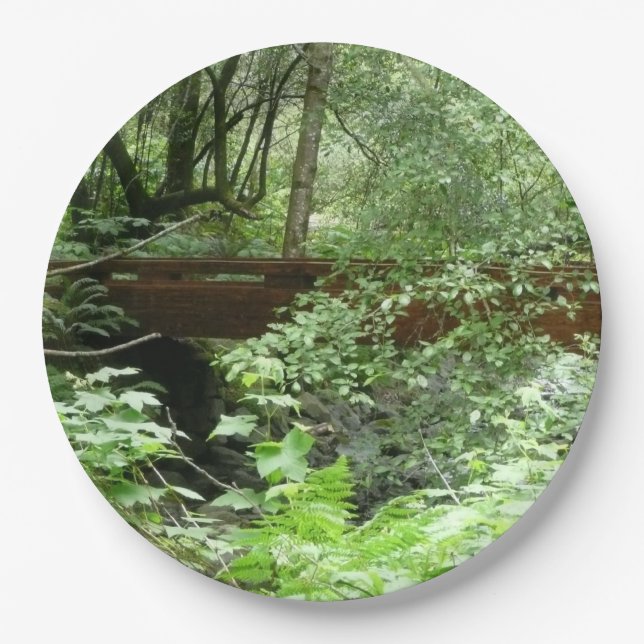 Muir Woods Bridge I Pappteller (Vorderseite)