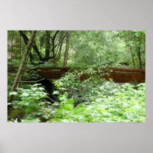 Muir Woods Bridge I Poster