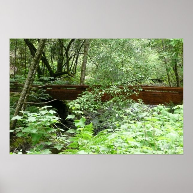 Muir Woods Bridge I Poster (Vorne)