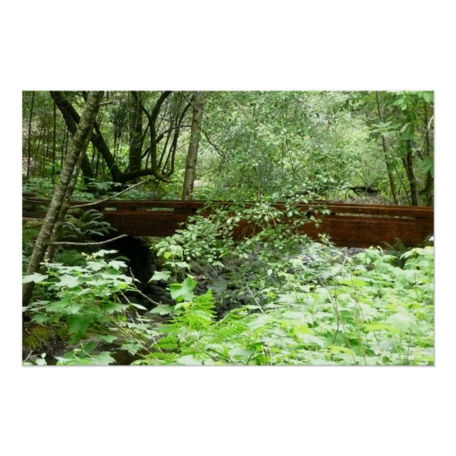 Muir Woods Bridge I Poster (Vorderseite)