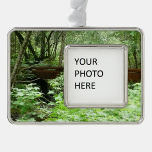 Muir Woods Bridge I Rahmen-Ornament Silber