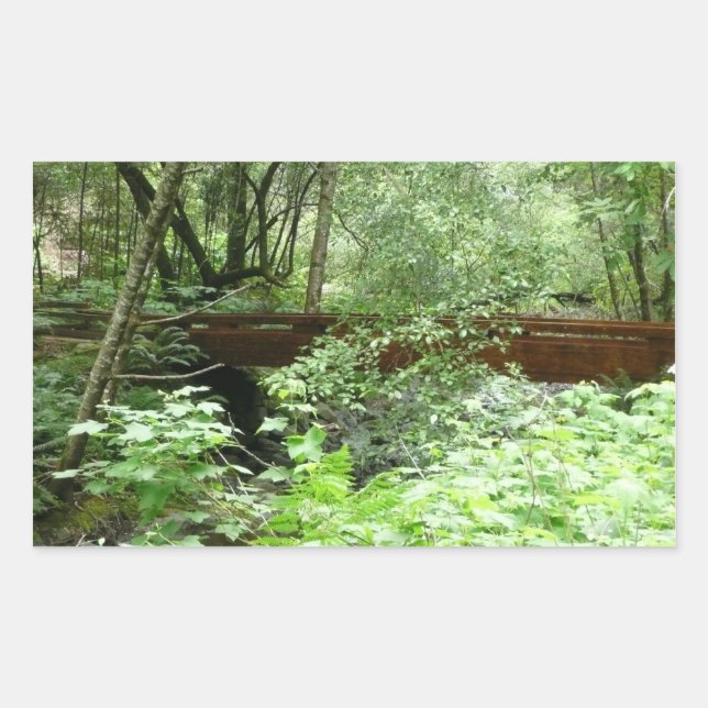 Muir Woods Bridge I Rechteckiger Aufkleber (Vorderseite)