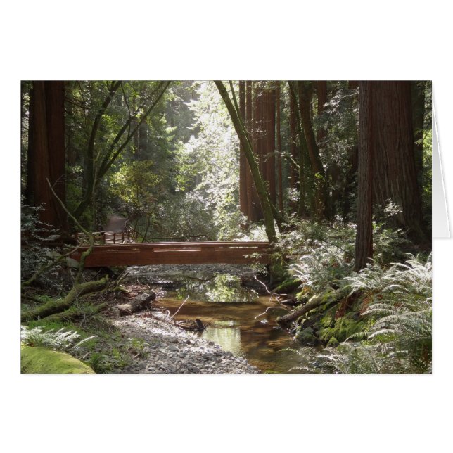 Muir Woods Bridge II (Vorderseite (Horizontal))