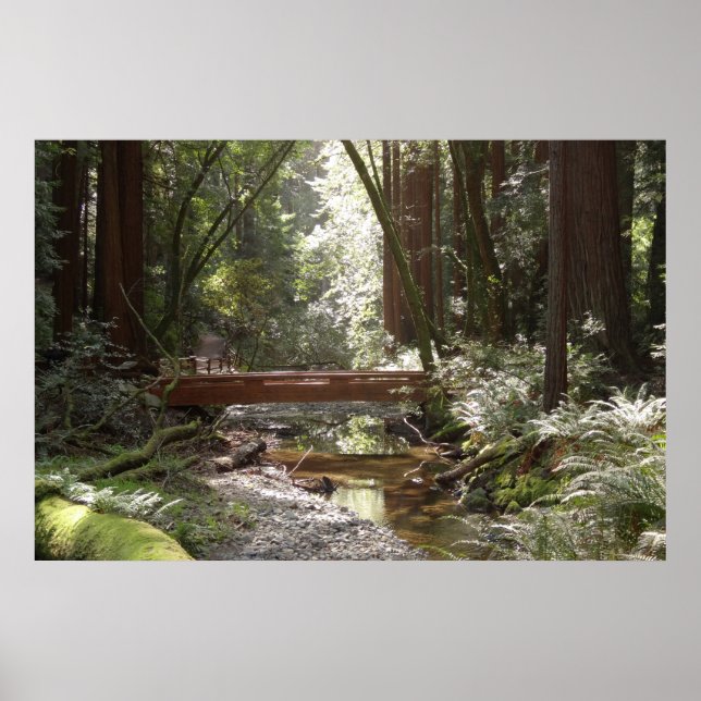 Muir Woods Bridge II Poster (Vorne)