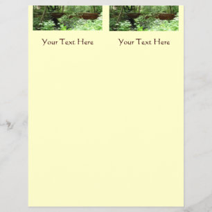 Muir Woods Brücke I Flyer