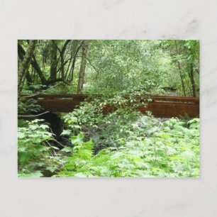 Muir Woods Brücke I Postkarte
