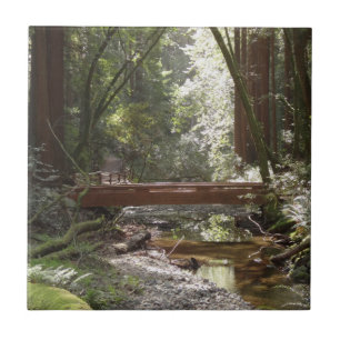 Muir Woods Brücke II Fliese