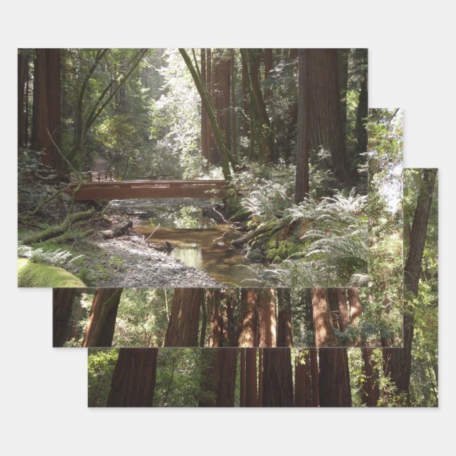 Muir Woods Brücke II Geschenkpapier Set (Set)