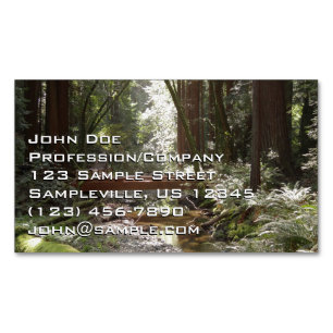 Muir Woods Brücke II Magnetische Visitenkarte