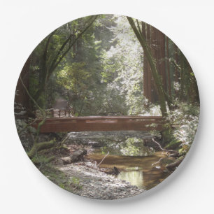Muir Woods Brücke II Pappteller