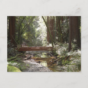 Muir Woods Brücke II Postkarte