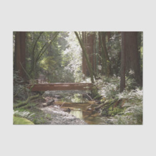 Muir Woods Brücke II Seidenpapier