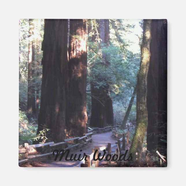 Muir Woods Magnet (Vorne)