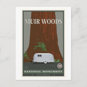 Muir Woods National Monument 1 Postkarte