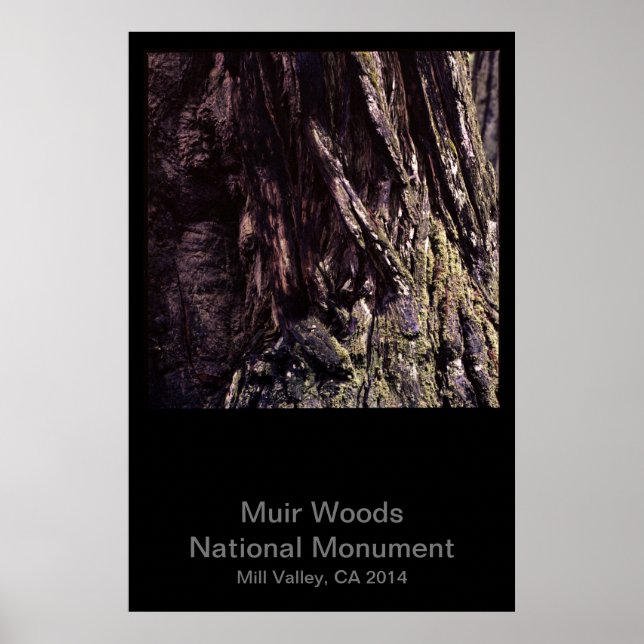 Muir Woods National Monument Color (Dunkel) Poster (Vorne)