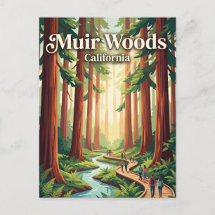 Muir Woods National Monument Kalifornien Postkarte