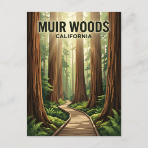 Muir Woods National Monument Kalifornien Postkarte