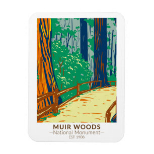 Muir Woods National Monument Kalifornien Vintage Magnet