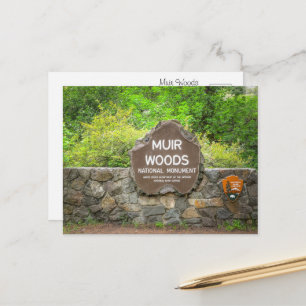 Muir Woods National Monument – Kalifornischer Mamm Postkarte