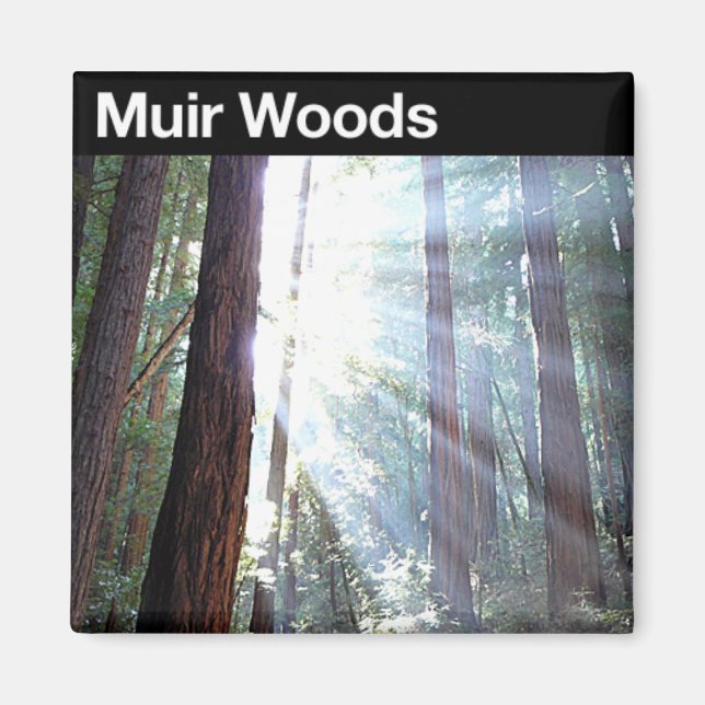 Muir Woods National Monument Magnet (Vorne)