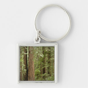 Muir Woods National Monument, Norden Schlüsselanhänger