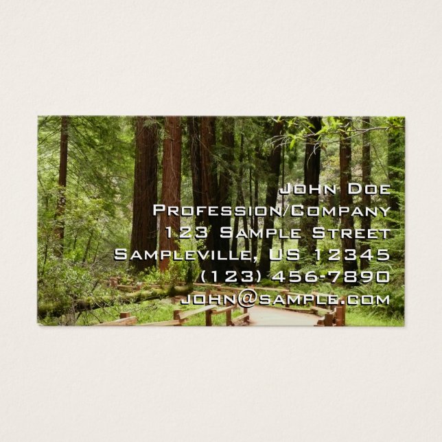 Muir Woods Path I Naturefotografie (Vorderseite)