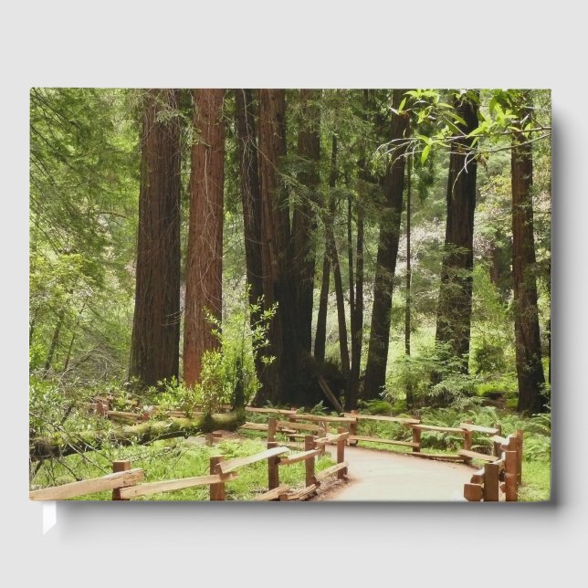 Muir Woods Path I Naturefotografie Gästebuch (Vorderseite)