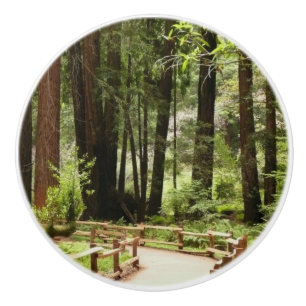 Muir Woods Path I Naturefotografie Keramikknauf
