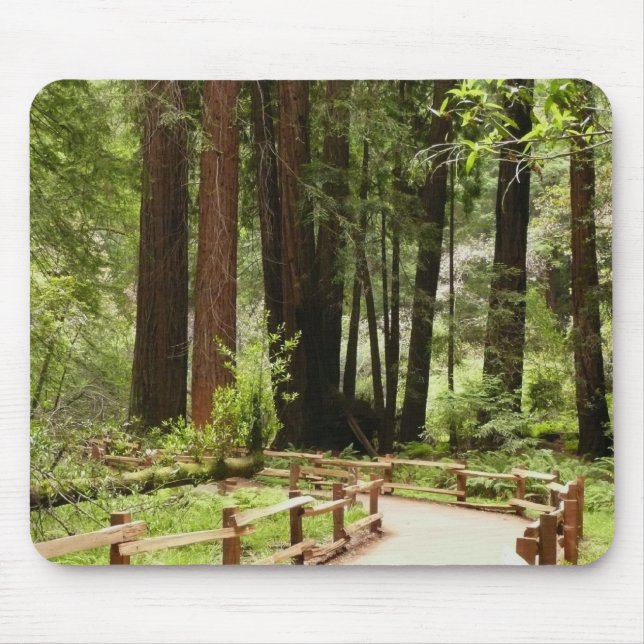 Muir Woods Path I Naturefotografie Mousepad (Vorne)