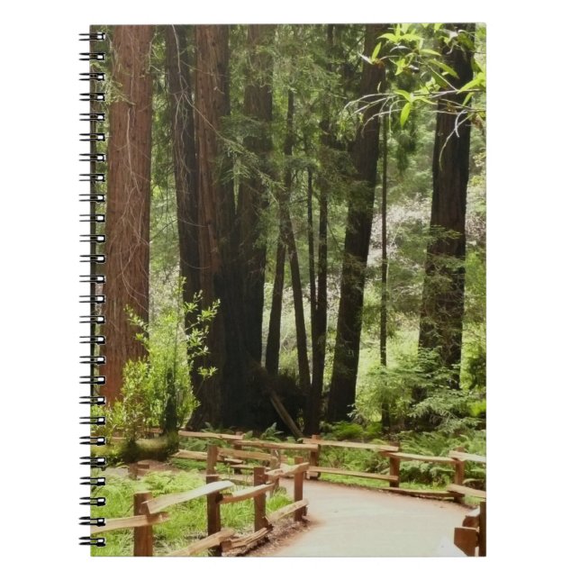 Muir Woods Path I Naturefotografie Notizblock (Vorderseite)