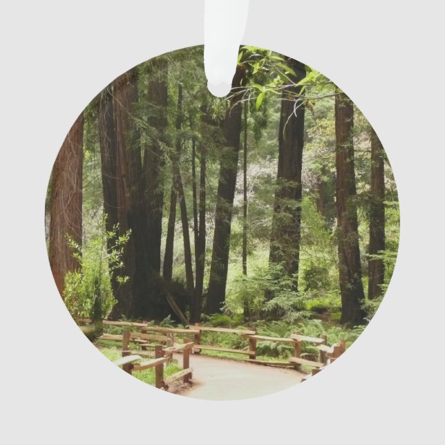 Muir Woods Path I Naturefotografie Ornament (Vorderseite)