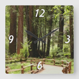 Muir Woods Path I Naturefotografie Quadratische Wanduhr