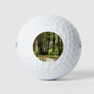 Muir Woods Path I Naturfotografie Golfball