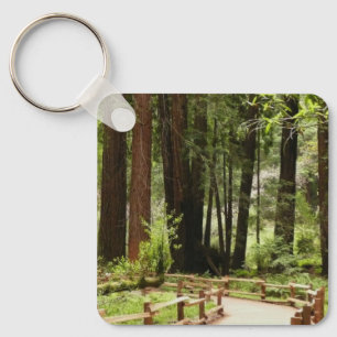 Muir Woods Path I Naturfotografie Schlüsselanhänger